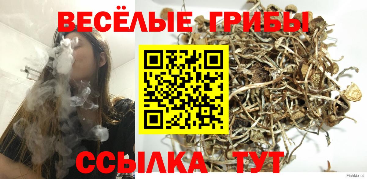 Псилоцибиновые грибы мухоморы Клинцы